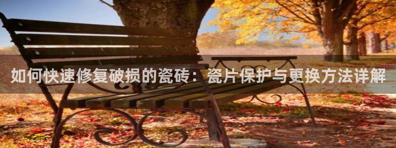 必一体育黑平台：如何快速修复破损的瓷砖：瓷片保护与更换方法详解