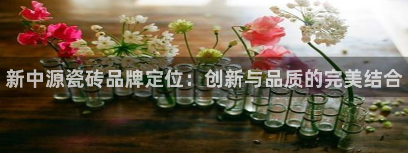 必一体育官网app：新中源瓷砖品牌定位：创新与品质的完美结合