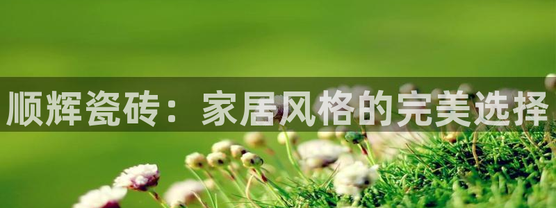 必一运动bsport体育app下载：顺辉瓷砖：家居风格的完美选择