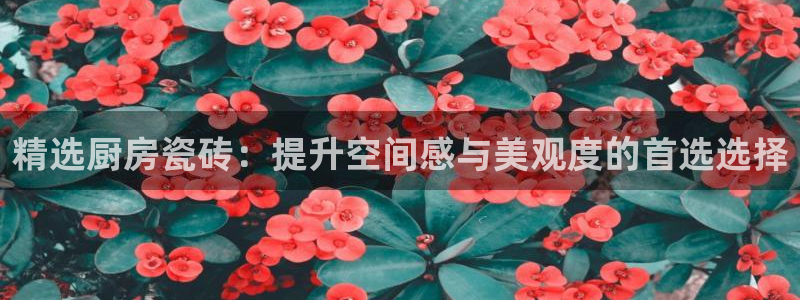 必一体育APP下载安装