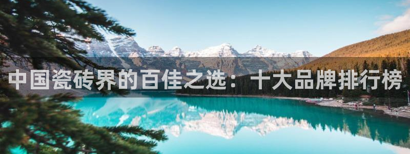必一运动体育app：中国瓷砖界的百佳之选：十大品牌排行榜