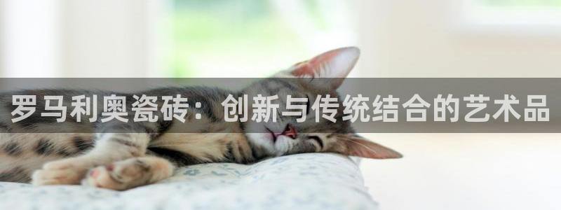 必一体育平台