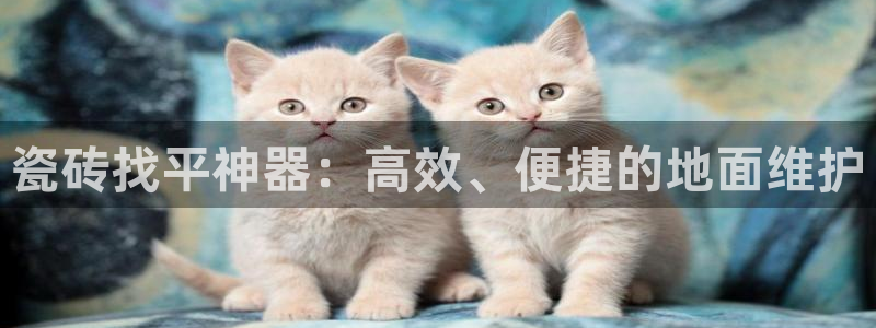 必一体育下载移动版