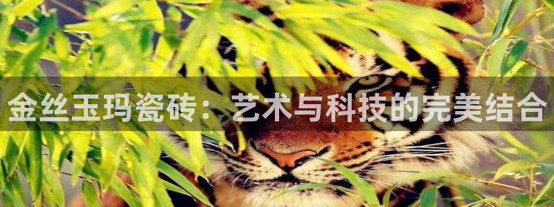 必一体育下载app