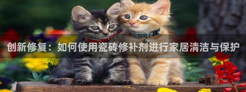 必一体育登陆