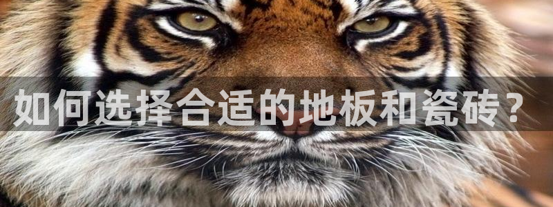 必一体育下载app下载
