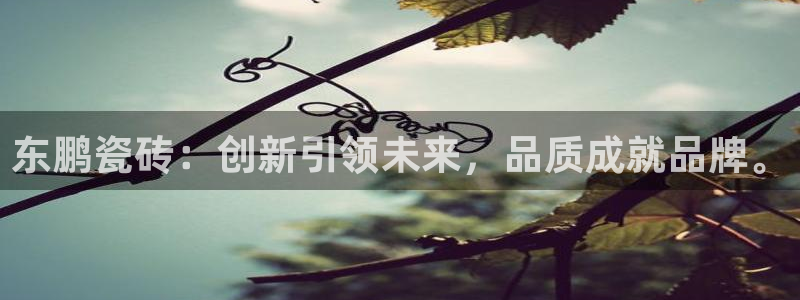 必一体育app官方