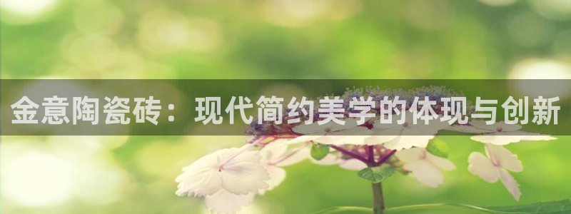 必一体育黑平台