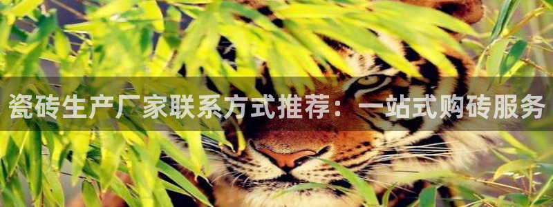 必一运动tieba.baidu.com