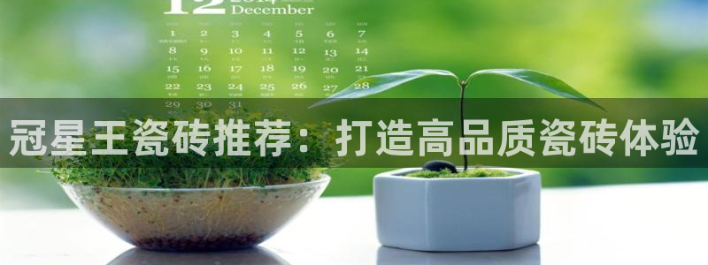 必一体育app下载