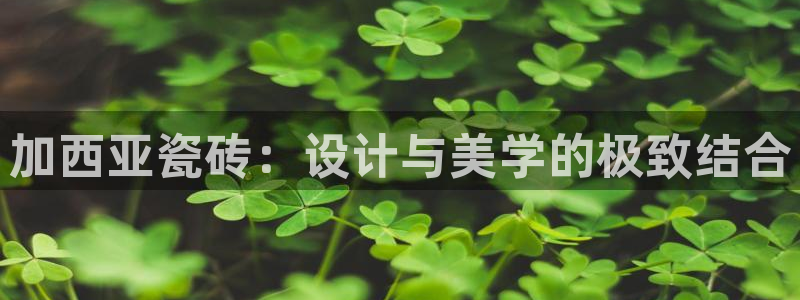必一运动验证码