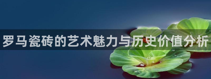 必一体育验证码
