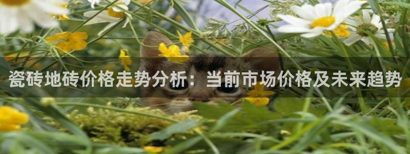 必一运动·(b-sports)官方网站