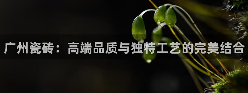 必一体育APP