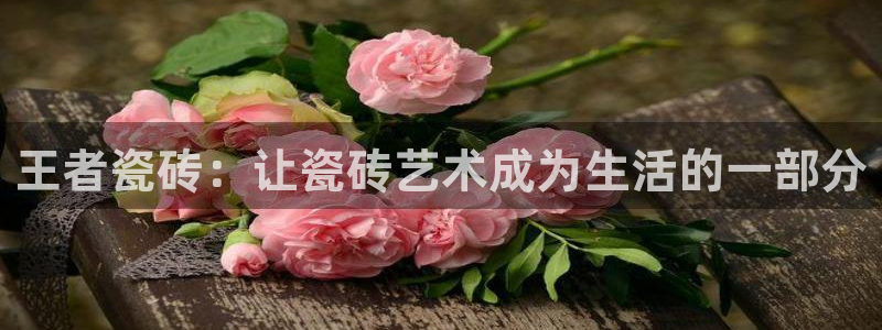 必一体育游戏玩法