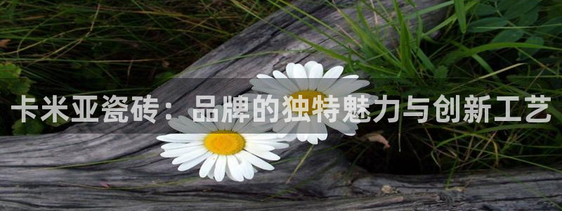 必一体育app官方下载入口