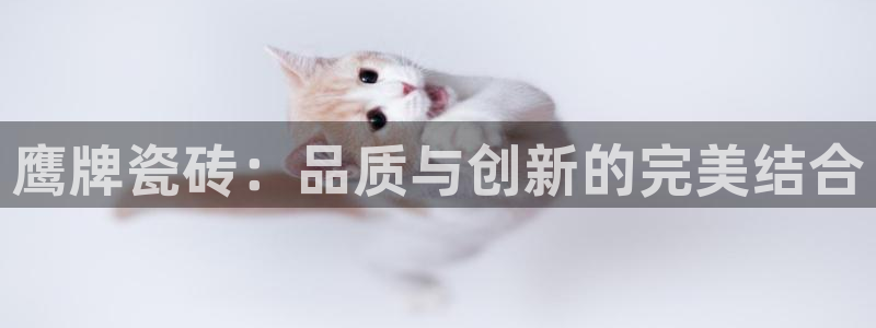 必一体育下载移动版