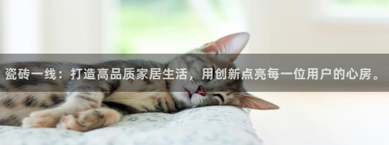 Bsport体育app必一