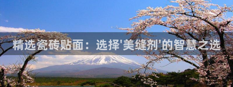 必一运动体育app