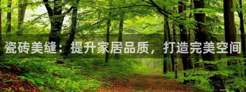 Bsport体育app必一