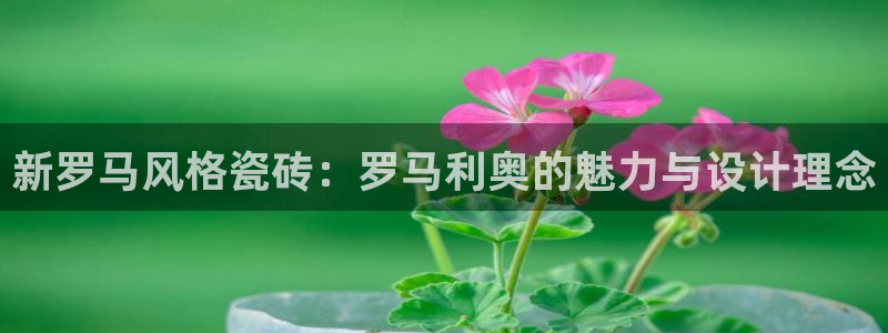 必一运动 b 体育素描版