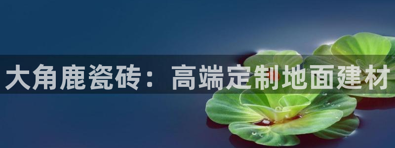 必一体育运动app下载