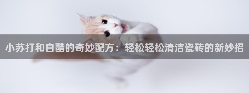 必一运动听的歌