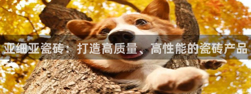 必一运动体育