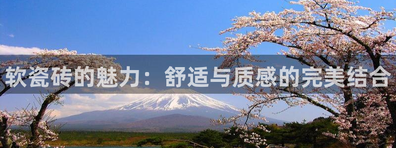 必一体育手机下载