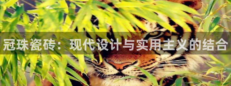 必一体育运动官网