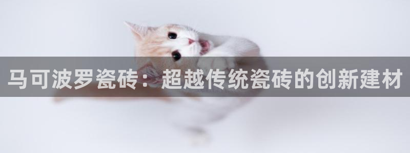 必一体育是哪里的台子