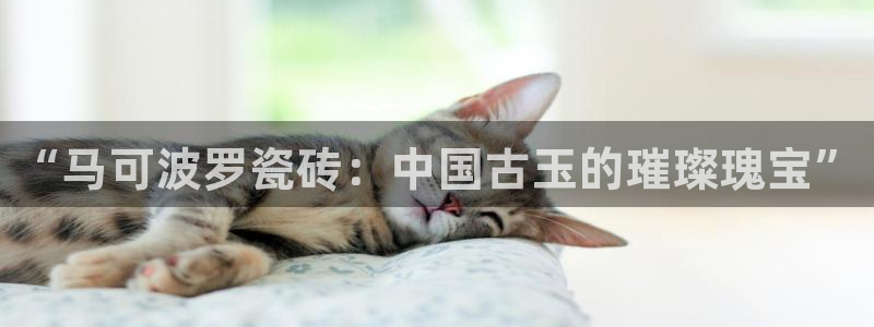 必一体育下载登入