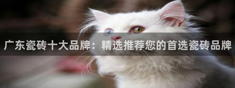 必一运动官网入口