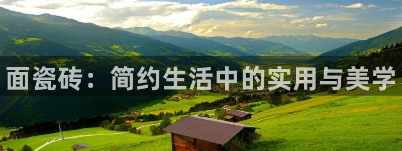 必一体育游戏特色