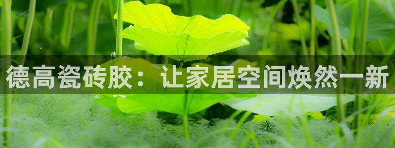 必一体育游戏玩法