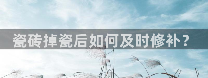 必一体育app官方下载入口