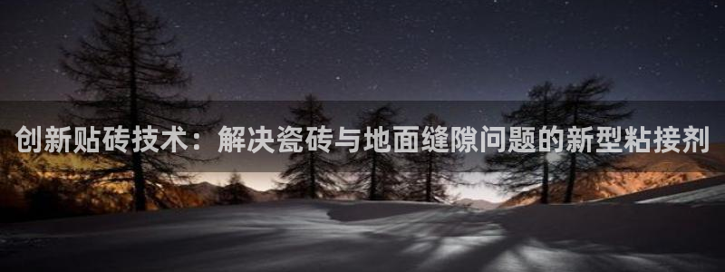 必一体育登录入口APP