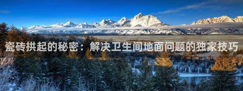 必一体育最新官网入口首页