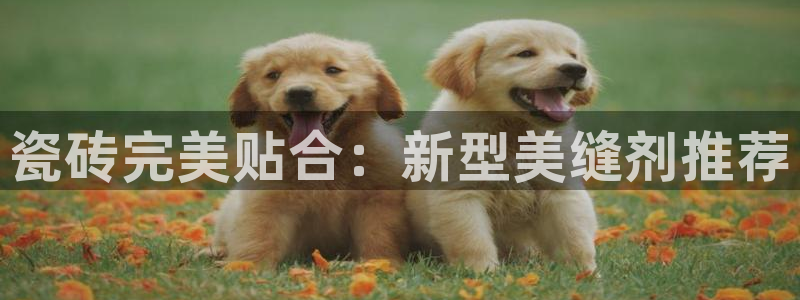 必一体育app下载安装