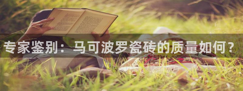 必一体育sport下载