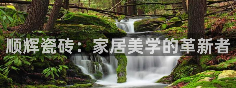 必一体育最新官网入口首页