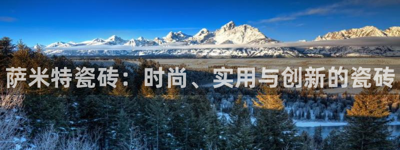 必一体育登录入口APP