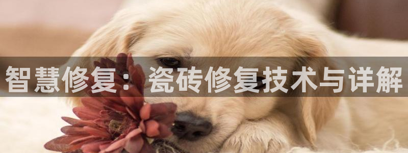 必一体育官方入口