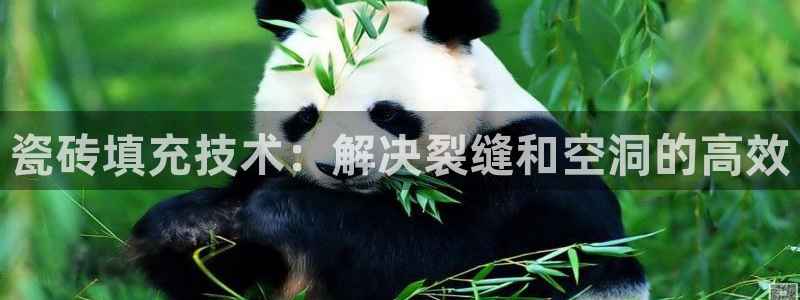 必一运动sport爱查股