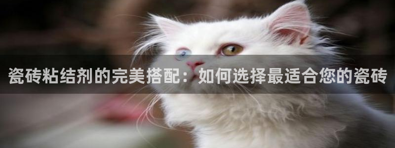 必一运动bsport体育app下载