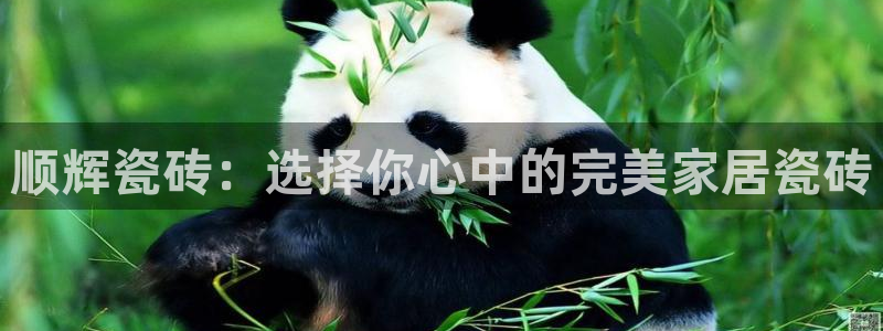 必一体育app官方下载入口