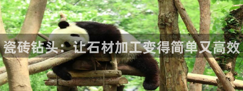 必一运动官网登录入口