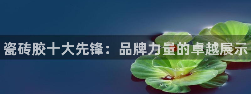 必一体育全站在线登录入口