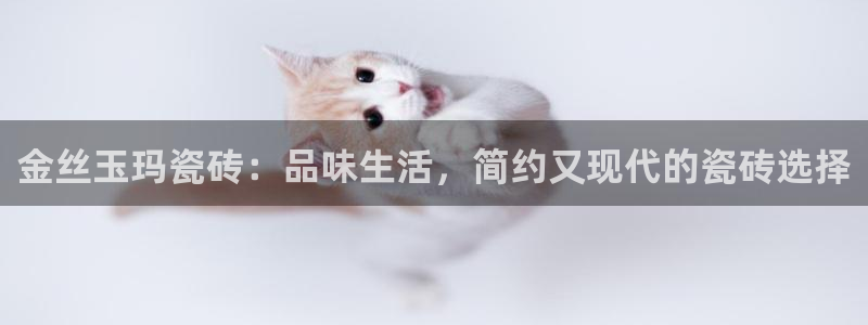 必一体育电子app