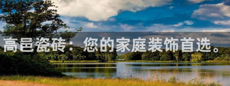 必一体育网页登录版官网